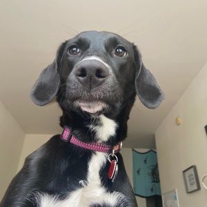 Meet your Posher, Meredith